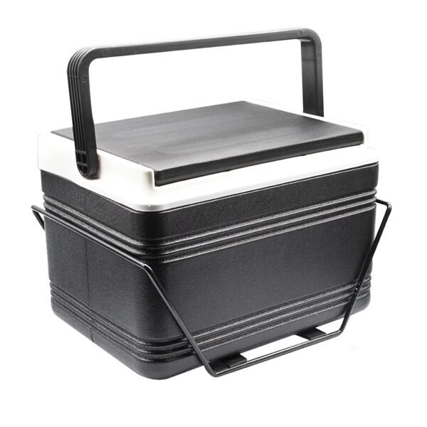 Golf Cart Cooler Box + Bracket
