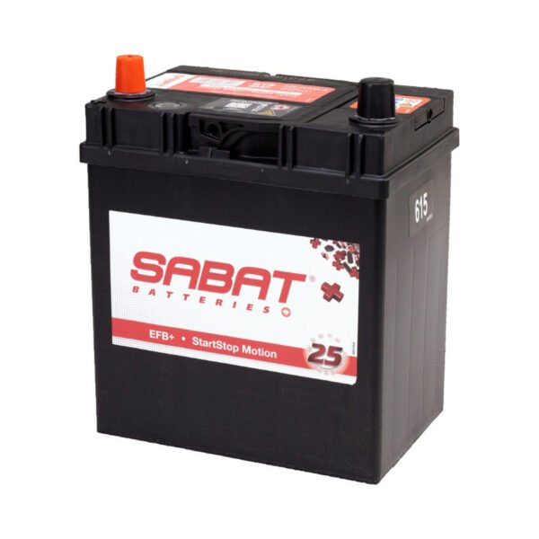 imgi_16_615-SBT Sabat 12v Class A Vehicle Battery – Size: 615